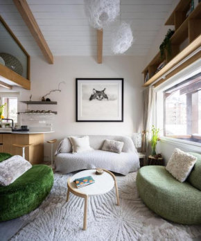 1 bedroom apartment plus mezzanine